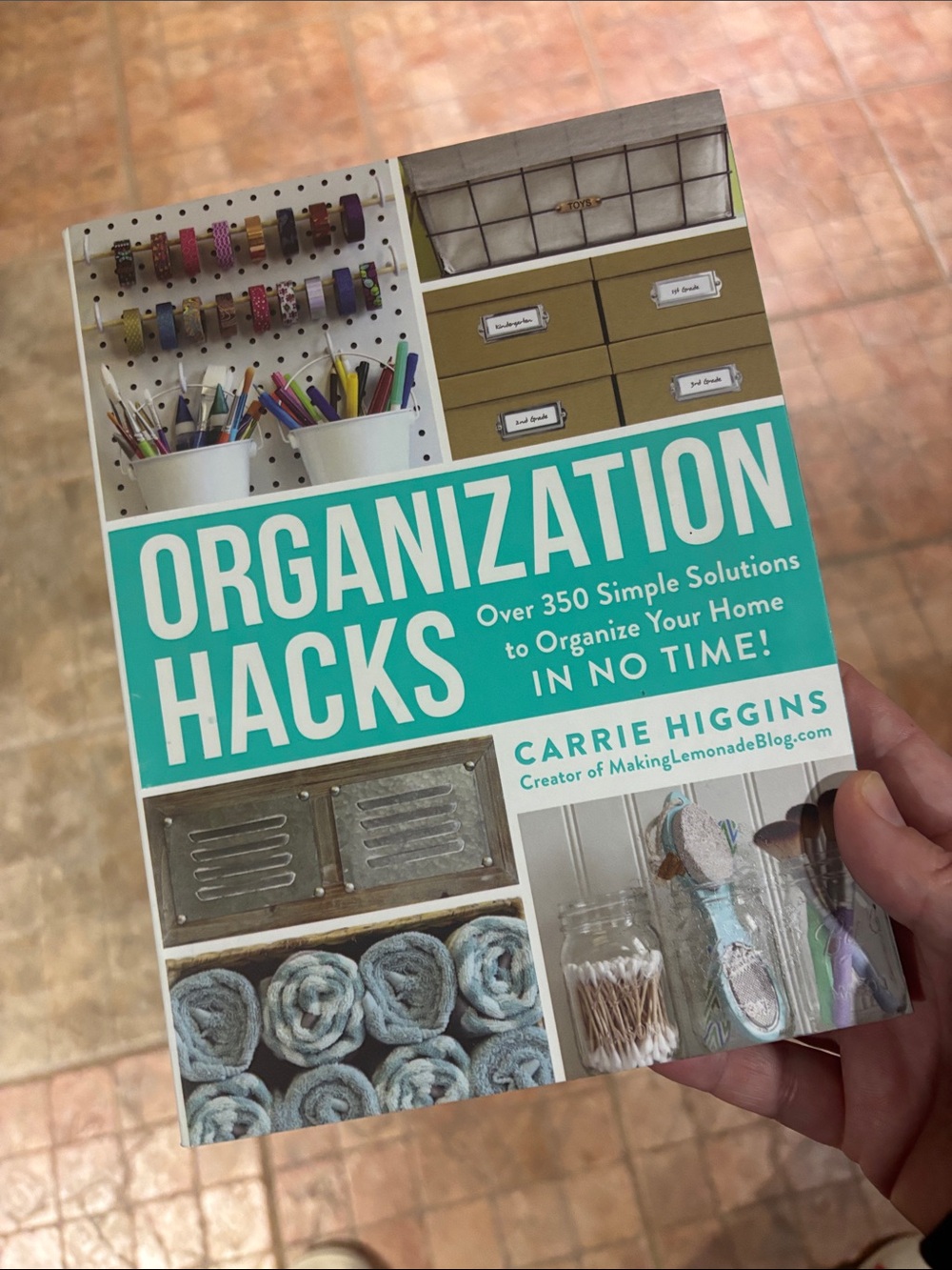Organization Hacks by Carrie Higgins book